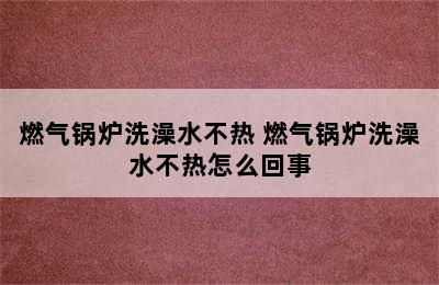 燃气锅炉洗澡水不热 燃气锅炉洗澡水不热怎么回事